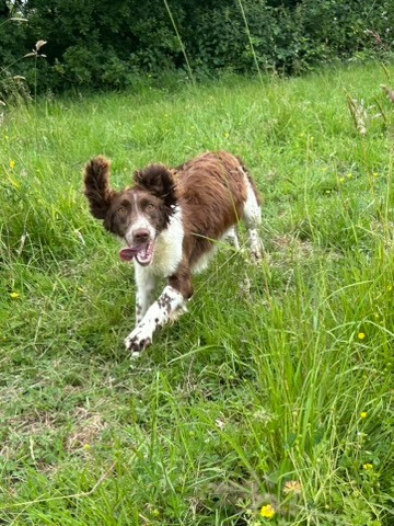 VIMY du chemin des cavaliers