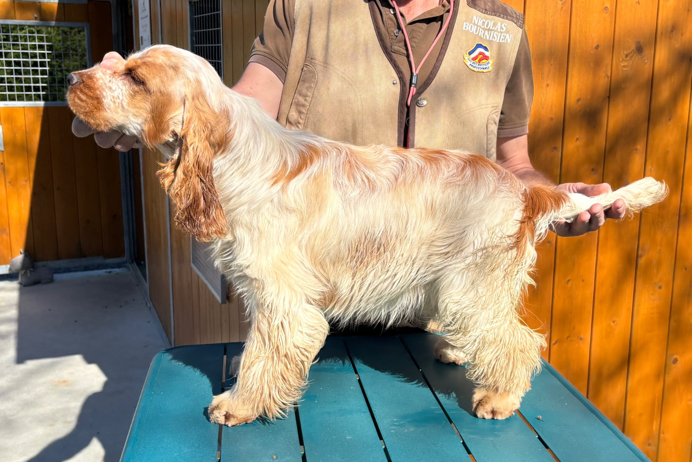 guns in the ground Belle star