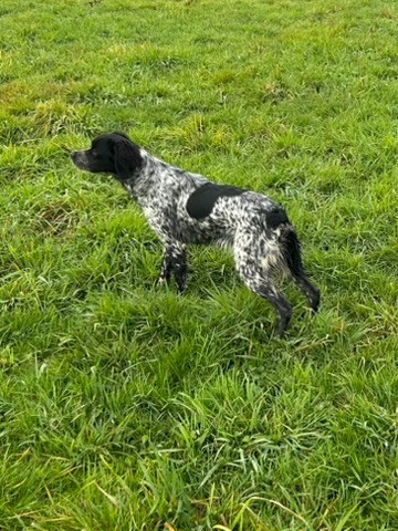 des hautes pousterles ALYA