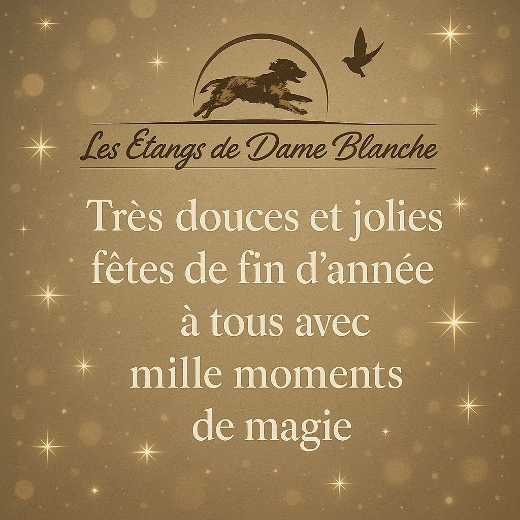 ACCUEIL DES PROPRIETAIRES