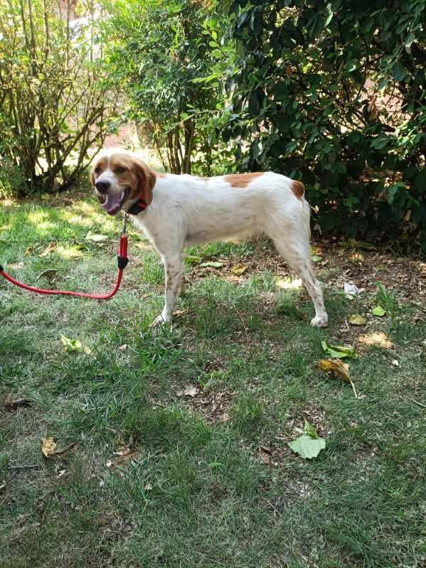 NOS BBS CHEZ LEURS MAITRES 2019-2025